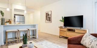 Lark Gallery 9