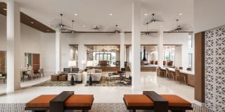 Roadrunner on McDowell Gallery 3