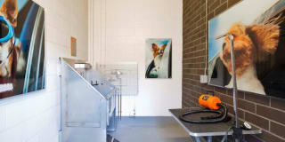 AMLI South Lake Union Gallery 22