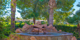 67579 S Laguna Drive Gallery 20