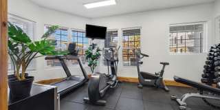 Eagle Ridge Gallery 6