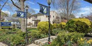 Westgate Arms Gallery 3