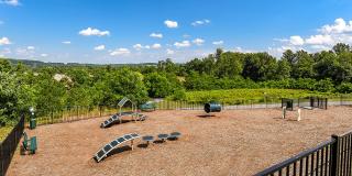 Woodland Hills Gallery 21