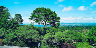Golden Oaks 2 bedroom condo. Sweeping bay views. Rarely available.. Golden Oaks 2 bedroom condo. Sweeping bay views. Rarely available.. Gallery 3