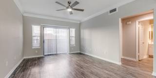 San Montego Gallery 17