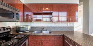 AMAZING STUDIO APARTMENT!  CATS ALLOWED!! Gallery 1