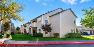 Cascade View Gallery 25