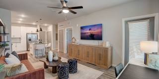 Ilumina Zephyrhills Gallery 19