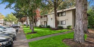 Aspire Gresham Gallery 3