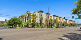 Pacific Place Gallery 19