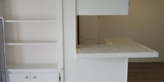 Diamond Pacific Gallery 6