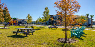 Dream Winter Haven Gallery 16