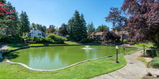 Bellevue Meadows Gallery 33