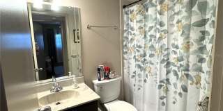 1753 BELLEAIR FOREST DRIVE Gallery 9