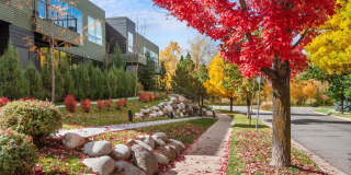 100 EVANS Road unit: 102 Gallery 1