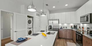 Mosaic at Lake Toho Gallery 24