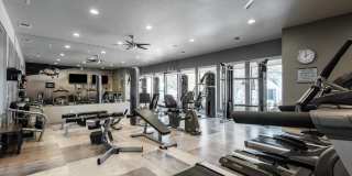 The Windsor Gallery 11