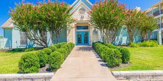 Pirates Landing Gallery 52