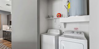 The Briscoe The Briscoe Gallery 10