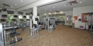 8 Quarry Dr Gallery 21