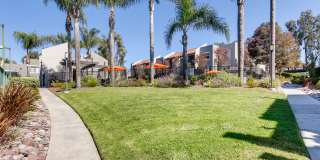 Avenue at San Marcos Gallery 41