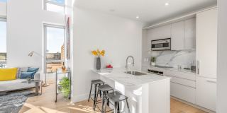 DVORA 175 Second Gallery 3