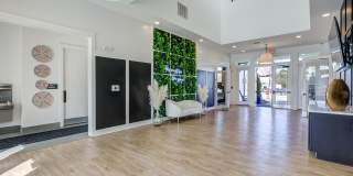 The Aster Gallery 13