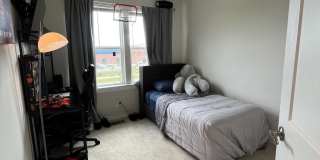 42556 SHANDWICK Terrace Gallery 15