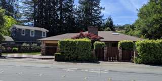 EMERALD HILLS - Premium updates thoughout including park like back yard Gallery 1