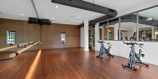 Alder at Allston Yards Gallery 24