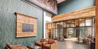 The Line Gallery 10