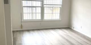 Sycamore Gallery 3