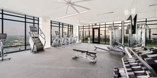 The Ellis Gallery 41