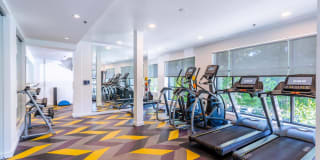 Edition Apartments Gallery 20