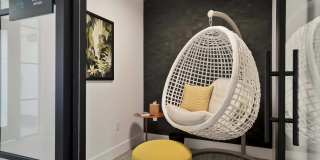 Edera Gallery 23