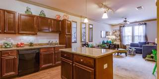 The Village at Lake Lily Gallery 65