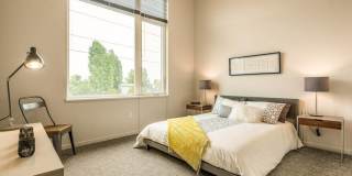 Janus Janus Gallery 12