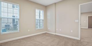 5168 Foxtail Pine Street Gallery 23