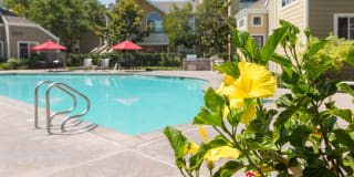 Woodland Meadow Gallery 3