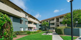 Ocean Crest Gallery 2