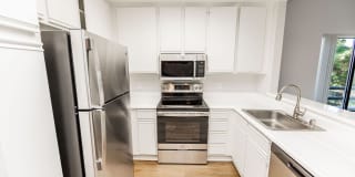 Lanewood Pines Gallery 1