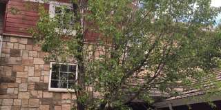 Beautiful + Bright Broadlands Condo for Lease! Gallery 1