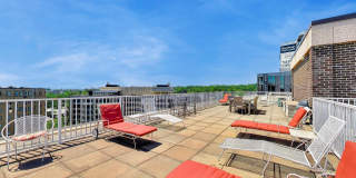 2501 CALVERT Street NW Gallery 16