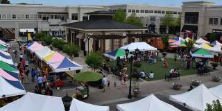 Allister North Hills Gallery 50