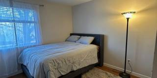 Bright & Updated 2Bd/1Ba Condo in Aurora Gallery 23