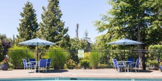 Silver Oak Gallery 8