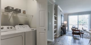 Avana Eastlake Gallery 20