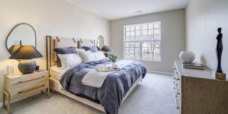 Aven at Newton Highlands Gallery 3