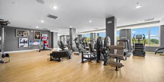 The Galaxy at Polaris Gallery 67