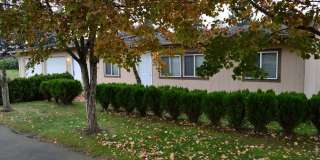 Auburn Gem: 3-Bed with Home Office, Huge Yard, and Massive Storage! Gallery 1